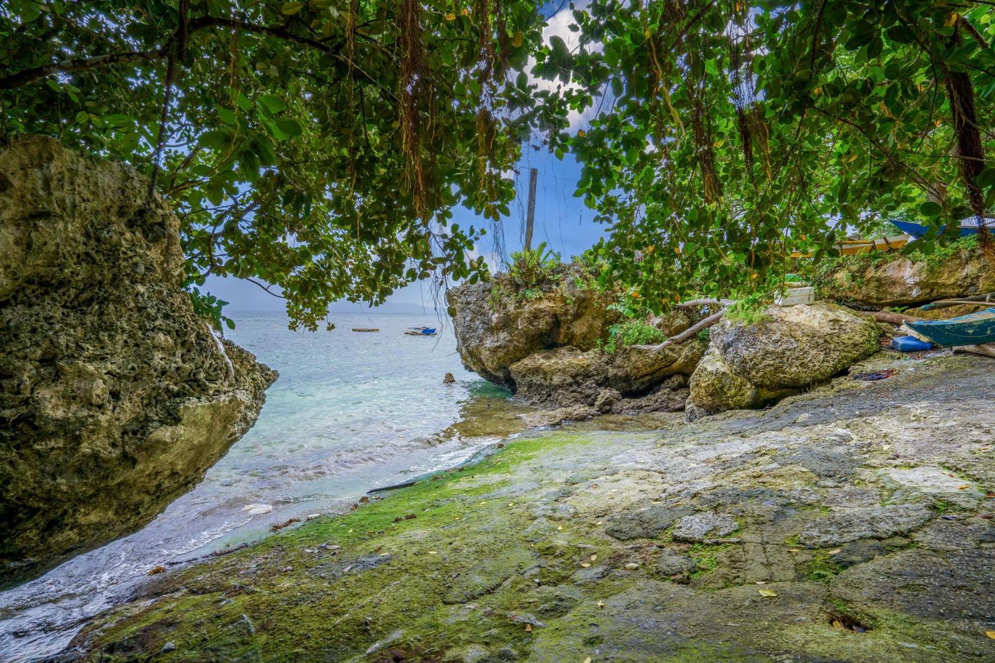 Weyh'S Studio #1 By The Ocean 100Mbps Panglao Eksteriør bilde