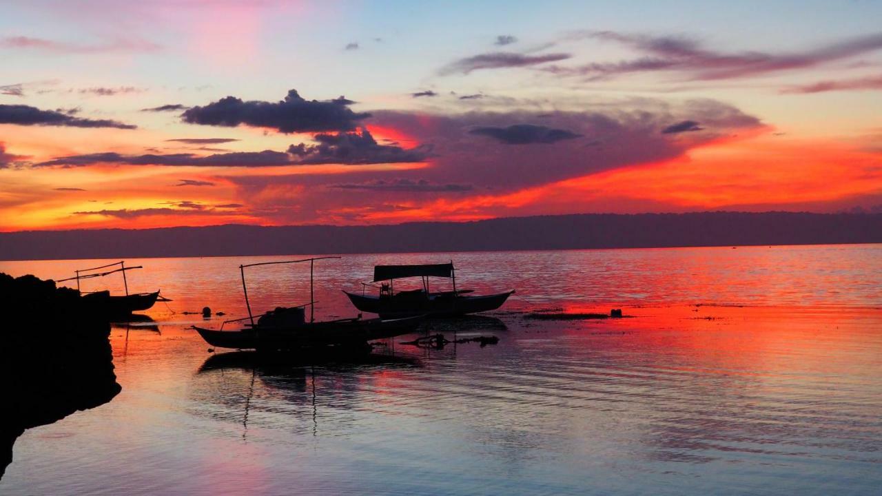 Weyh'S Studio #1 By The Ocean 100Mbps Panglao Eksteriør bilde